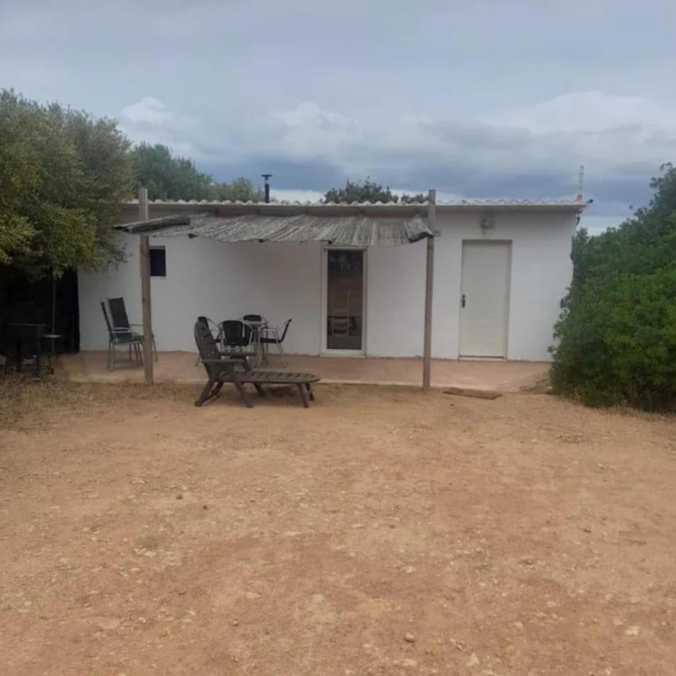 Apartment En De Campo